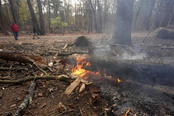 People walk along a path near flames on the forest floor, in Lynn Woods Reservation, Sunday, Nov. 10, 2024, in Lynn, Mass. (AP Photo/Steven Senne)