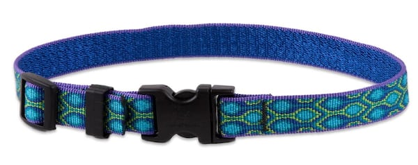 Lupine Pet offers a lifetime guarantee on its colorful assortment of collars and harnesses. Contributed by Lupine Pet