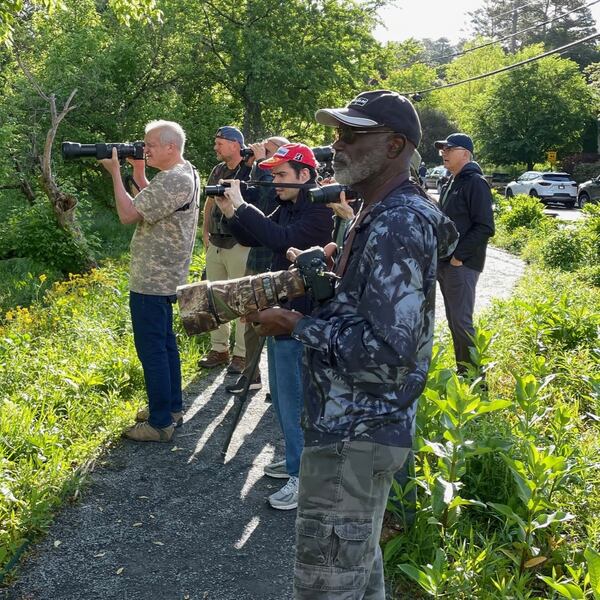 Cameras are out as the Georgia Audubon Society goes on a birding excursion. 
(Courtesy of the Georgia Audubon Society / Sheridan Alford Photo)