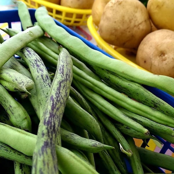 Longtime Avondale Estates Farmers Market vendor Circle M Farms will bring freshly picked green beans and potatoes in season. CONTRIBUTED BY AVONDALE ESTATES FARMERS MARKET