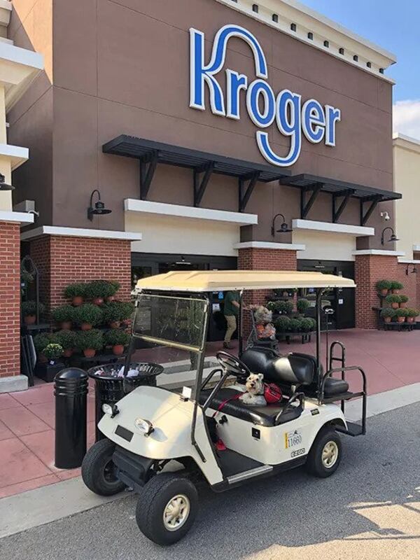 A golf cart carrying Robert Kim's dog, Roscoe, shown parked outside of the Peachtree City Kroger. (Photo provided by Robert Kim)