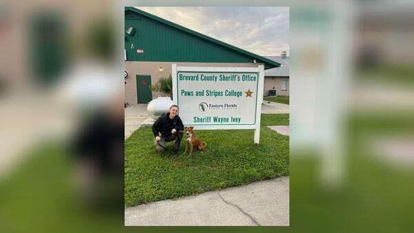 Alpharetta Det. Caitlin Lawrence, Scout's handler, received law enforcement therapy dog training at Brevard County Sheriff's Office last December. Alpharetta police will bring Scout, a one-year-old beagle mix, to interviews to calm traumatized victims and witnesses of crimes. Courtesy Alpharetta Department of Public Safety