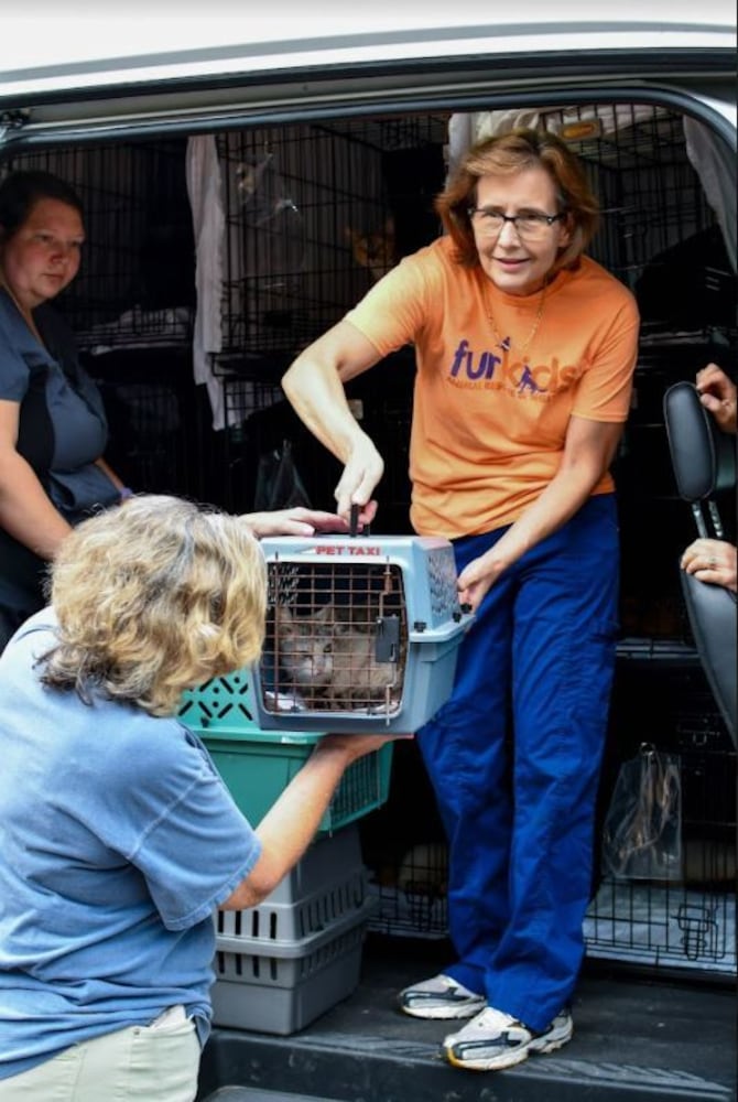 Cobb kitten boom overcrowds shelter