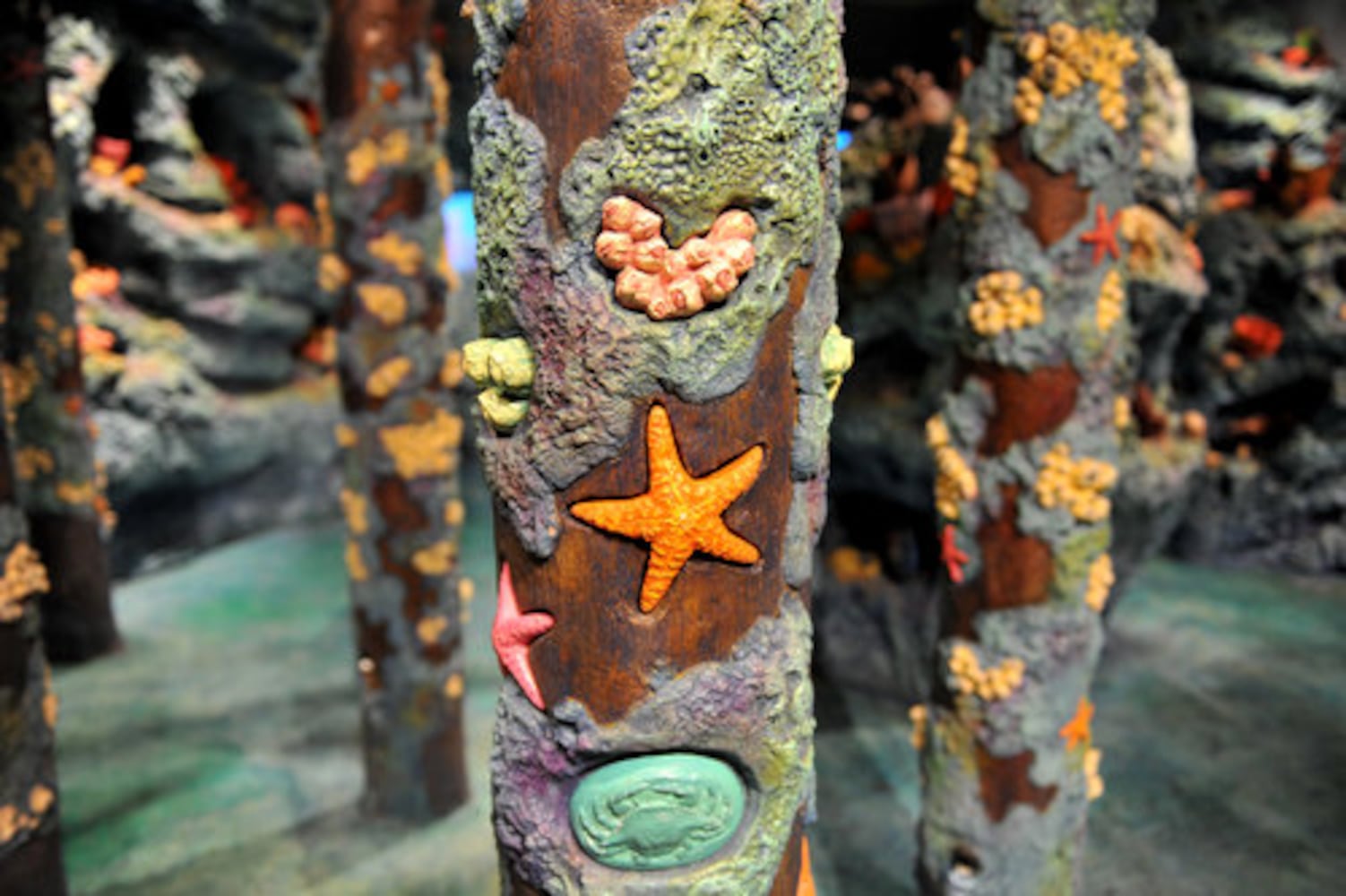 NatureQuest exhibit at Fernbank