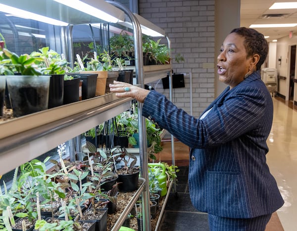 Residents of A.G. Rhodes Atlanta have planted various flowers, according to administrator Loretta Barnes. She has seen a mindset shift since starting her health care career more than 40 years ago. PHIL SKINNER FOR THE ATLANTA JOURNAL-CONSTITUTION