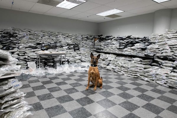 Jayden, a K-9 officer in Chicago, helped bust a $10 million marijuana trafficking case.