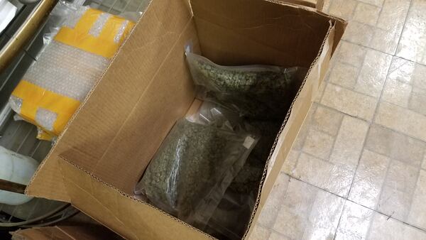 Marietta police raided two businesses and seized more than 100 pounds in suspected drugs Tuesday.