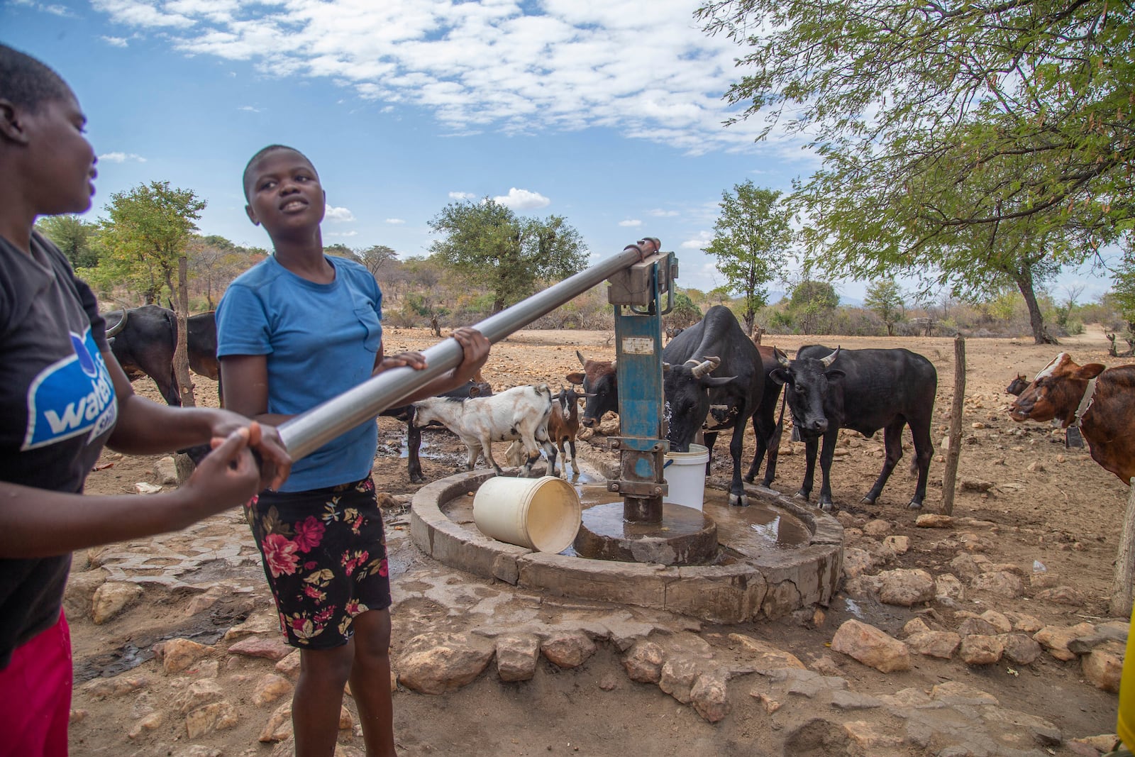 File — Villagers pump water at a borehole in Mudzi, Zimbabwe, Tuesday, July 2, 2024.as the United Nations' food agency says months of drought in southern Africa, triggered by the El Nino weather phenomenon, has had a devastating impact on more than 27 million people and caused the region's worst hunger crisis in decades. (AP Photo/Aaron Ufumeli/File)