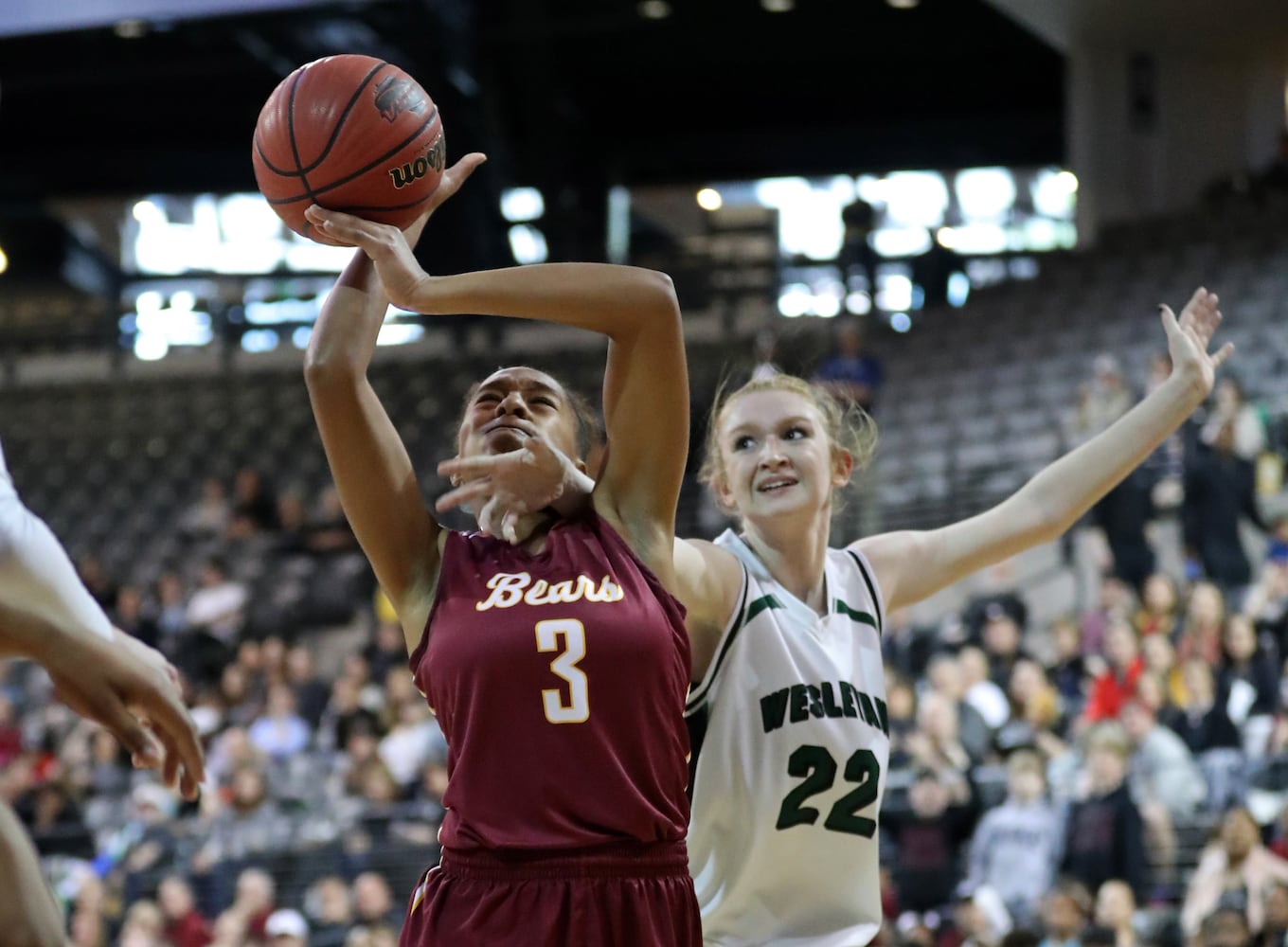 Photos: High school basketball state tournament