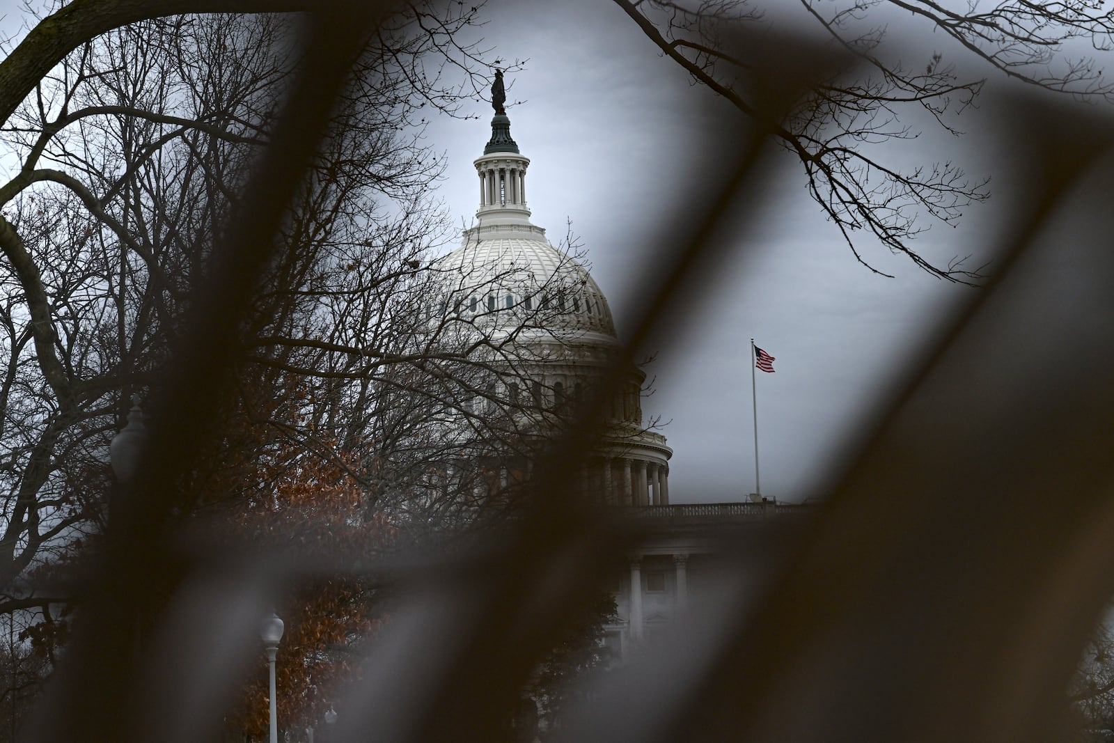 The U.S. Capitol in Washington, D.C. (Kenny Holston/The New York Times)