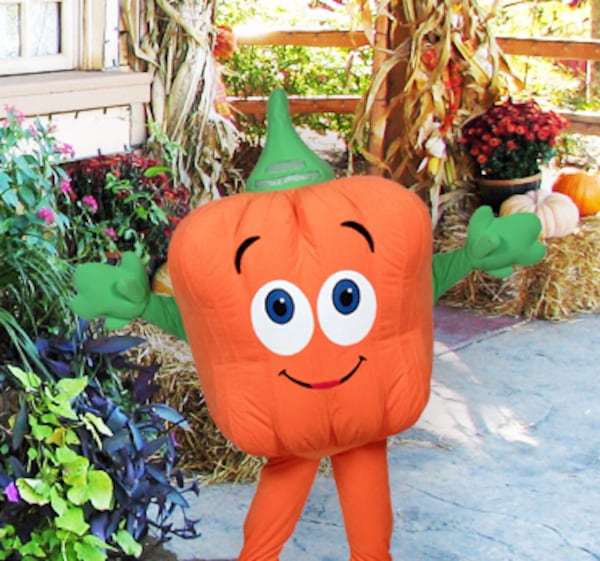 Spookley the Square Pumpkin is involved in several activities at Stone Mountain Park's Annual Pumpkin Festival.