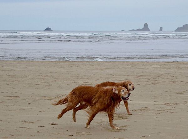 Cannon Beach, Oregon