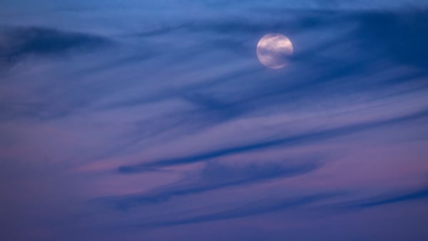 A full moon rises in the night sky over the Mojave Desert. A Full Pink Moon is rising this week and should be at its peak on Friday.