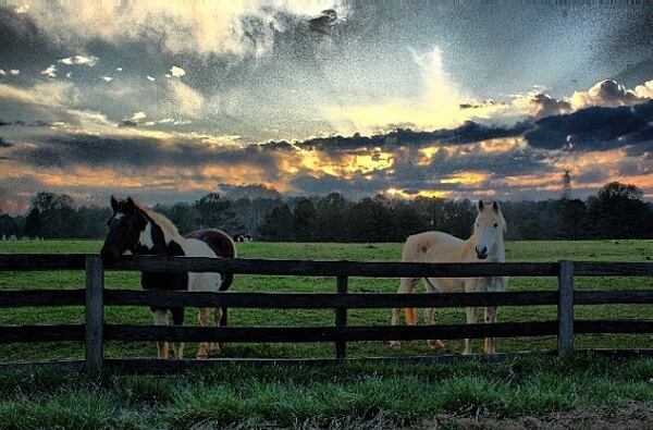 Trail ride for two: One package from Serenbe Trailriding includes a luxury picnic.