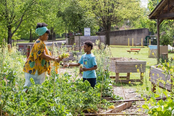 Amina Robinson gets help from her oldest son, Khaiye Robinson, 11, at the Habesha community garden in the Mechanicsville neighborhood. Jenni Girtman for The AJC