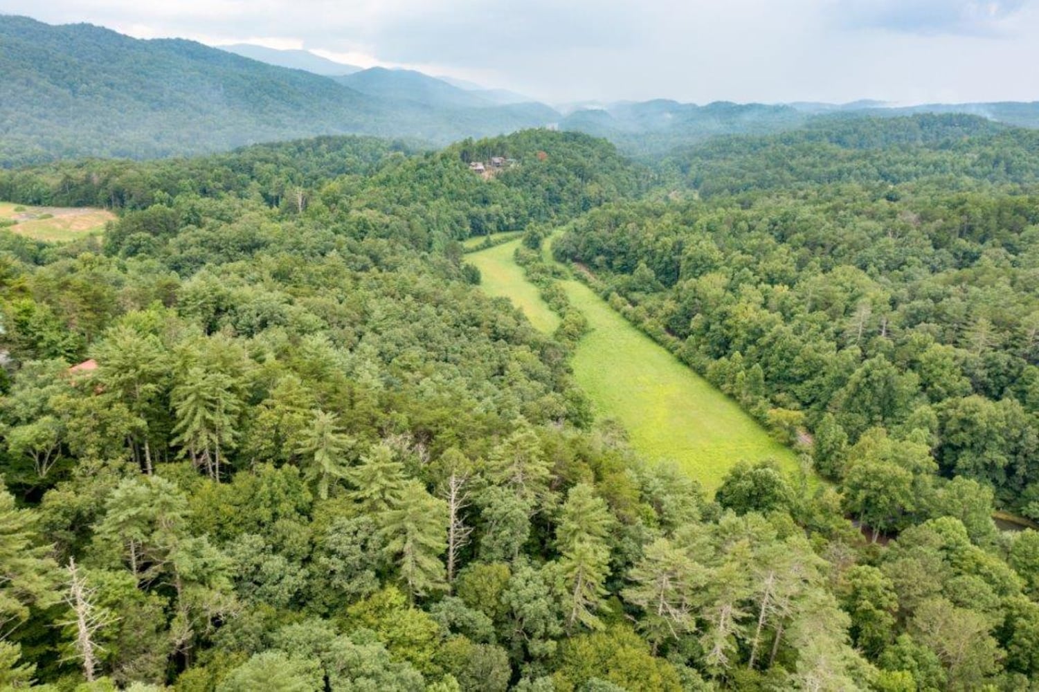 This $3.5m Blue Ridge vineyard dream home could be yours