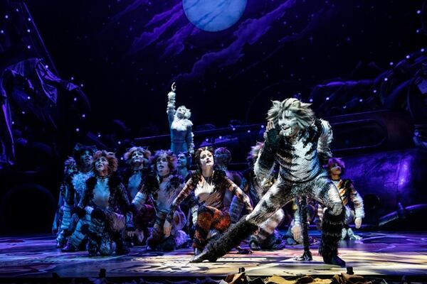 Dan Hoy as 'Munkustrap' and the North American Tour of CATS. Photo by Matthew Murphy