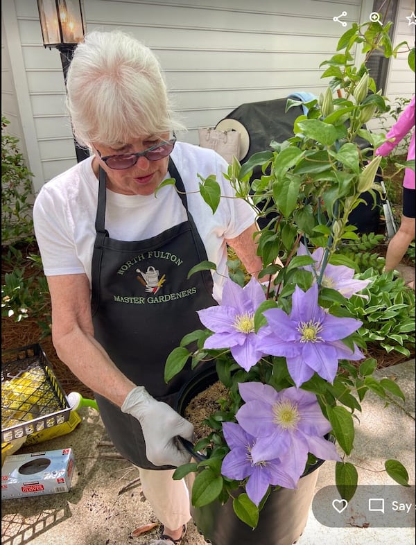 Sarah McKenney with a clematis flower during the Sandy Springs Garden Club’s recent cleanup project at the Mann House.