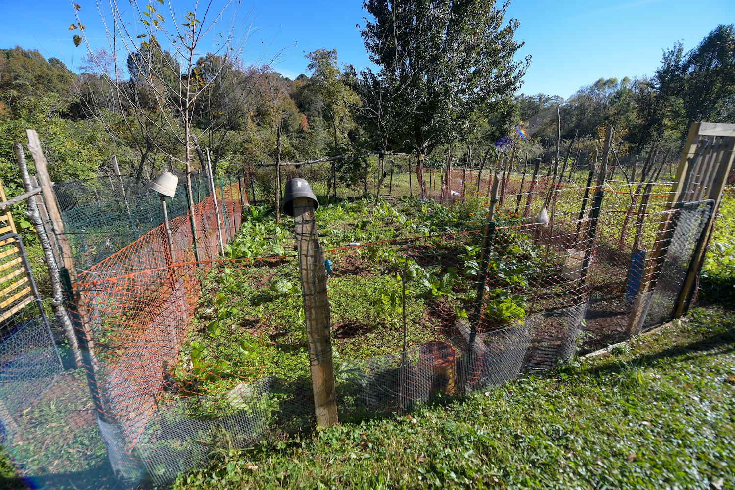 112521 EV DECATUR KITCHEN GARDEN