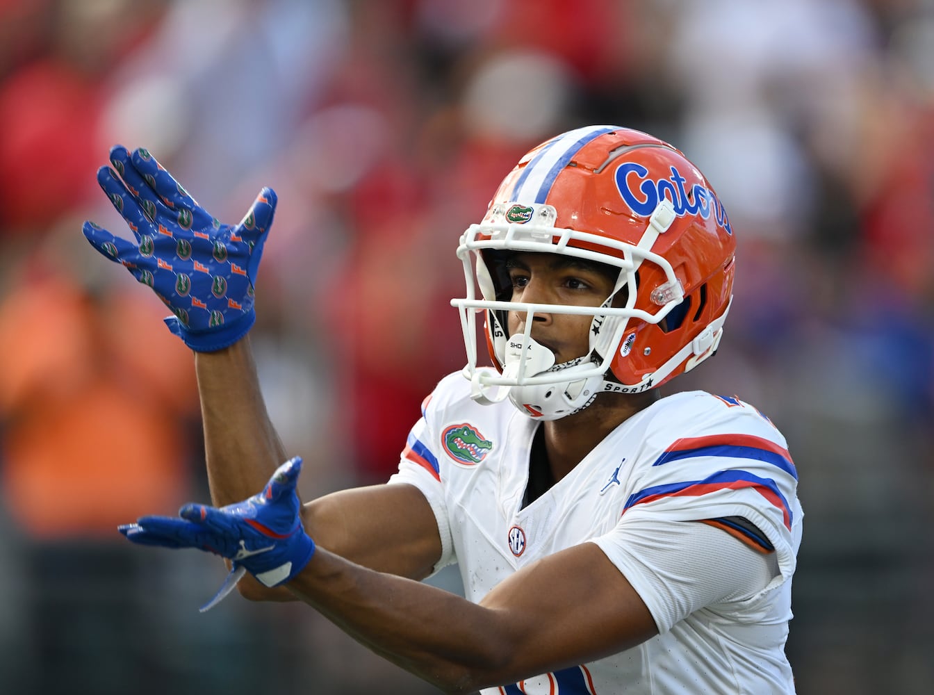 Georgia vs Florida game