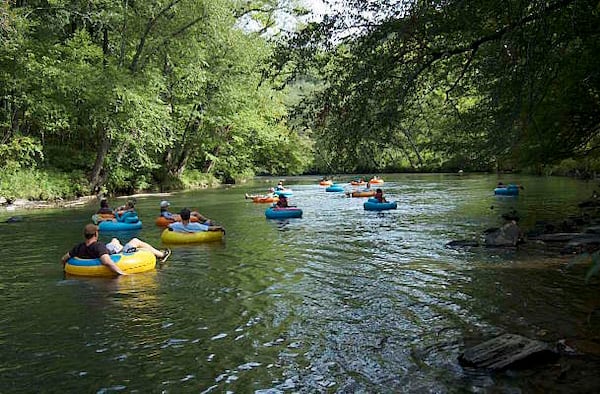 Tubing along the Chestatee River