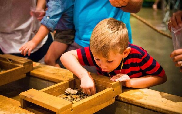 Get up close and personal to dinosaurs this weekend in Cobb.