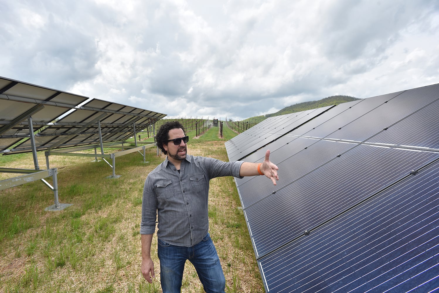 Photos: The solar-powered Yonah Mountain Vineyards