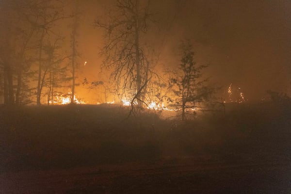 A wildfire spreads through trees Friday, March 14, 2025, south of Langston, Okla. (AP Photo/Alonzo Adams)