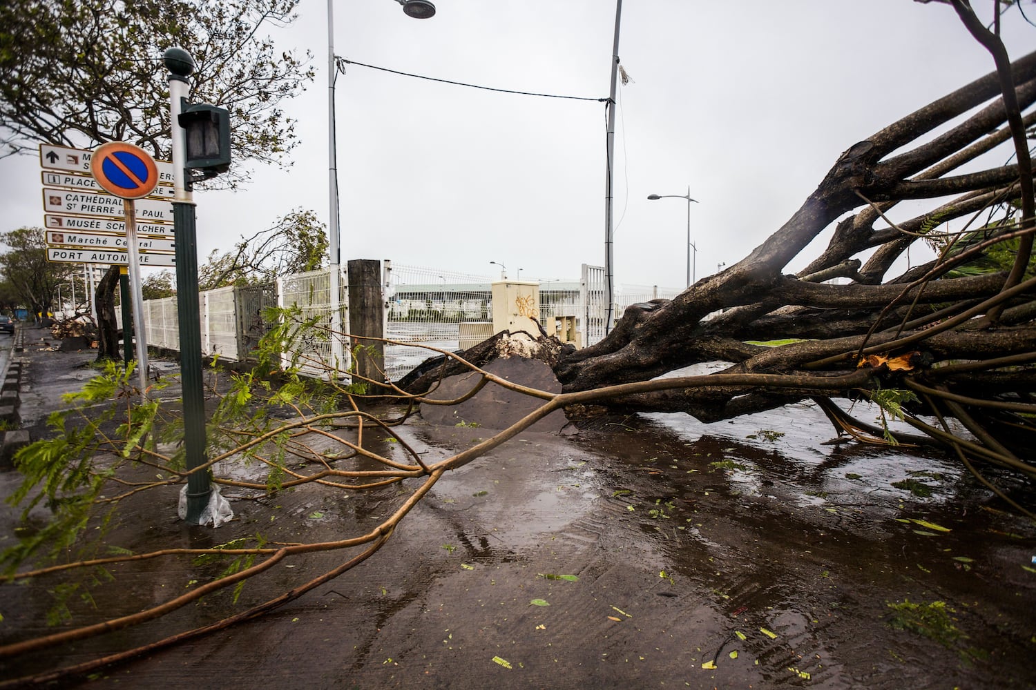 Hurricane Maria