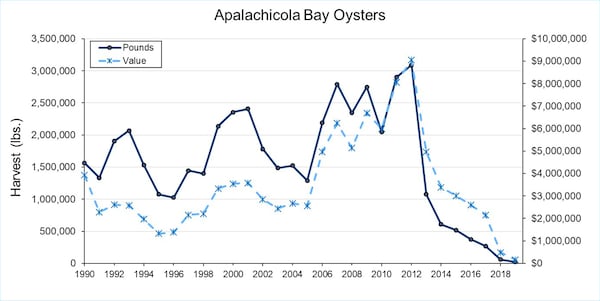 This graphic provided by the Florida Fish and Wildlife Conservation Commission shows how oyster harvests have crashed since 2012 in Apalachicola Bay.