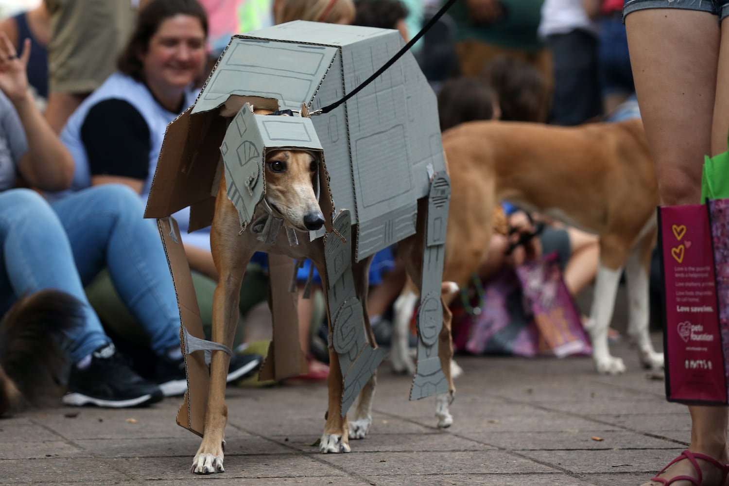 PHOTOS: Doggy Con 2019