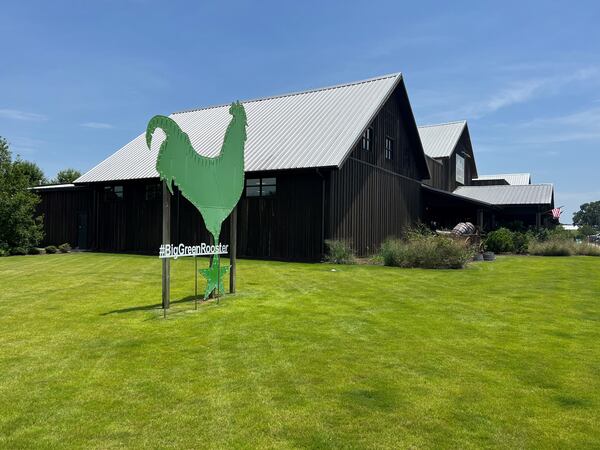 Farmview Market in Madison was bustling with midday visitors on a recent summer afternoon.