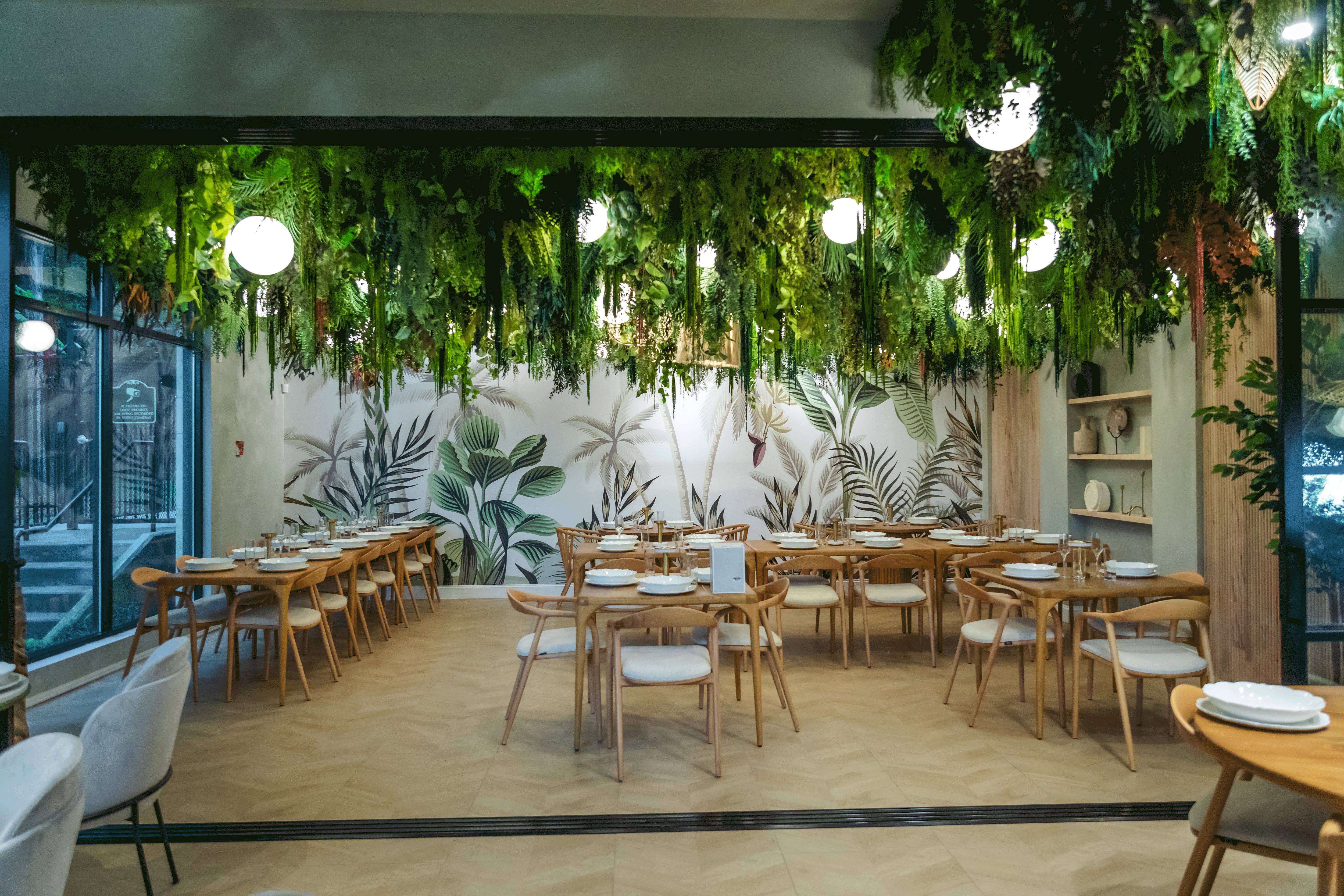 Greenery enhances the interior of Verdure Kitchen and Cocktails.  Courtesy of Verdure Kitchen and Cocktails