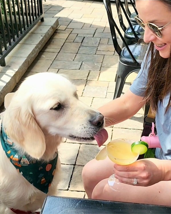 Take your pup on a guided crawl of dog-friendly restaurants and pet
boutiques during Barks & Bites: Doggie Crawl on the Beltline.