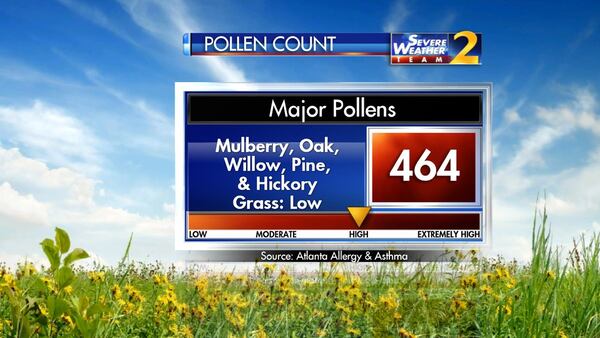 Sunday's pollen count (Credit: Channel 2 Action News)