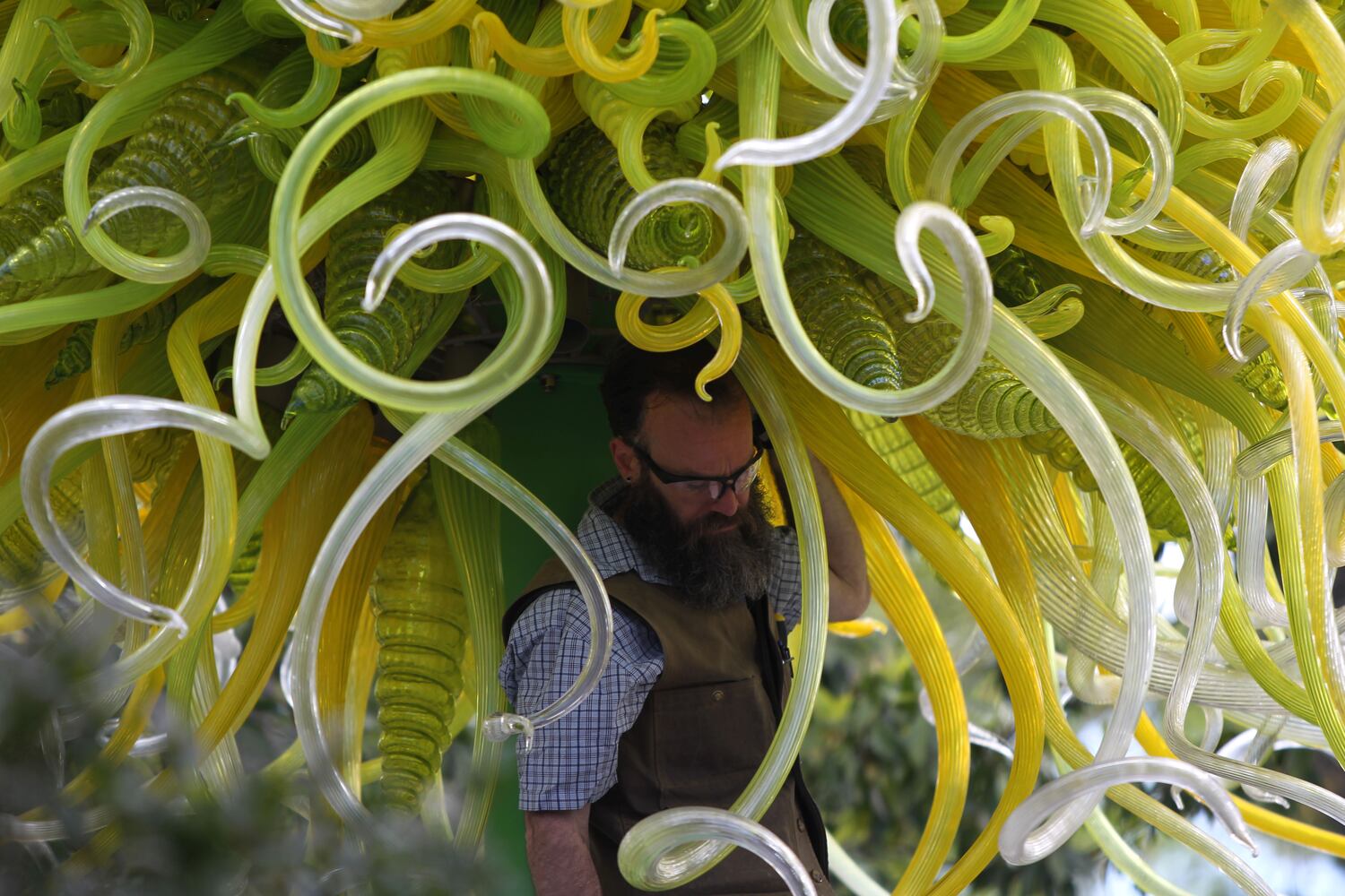 Chihuly Garden Installations | Atlanta Botanical Gardens