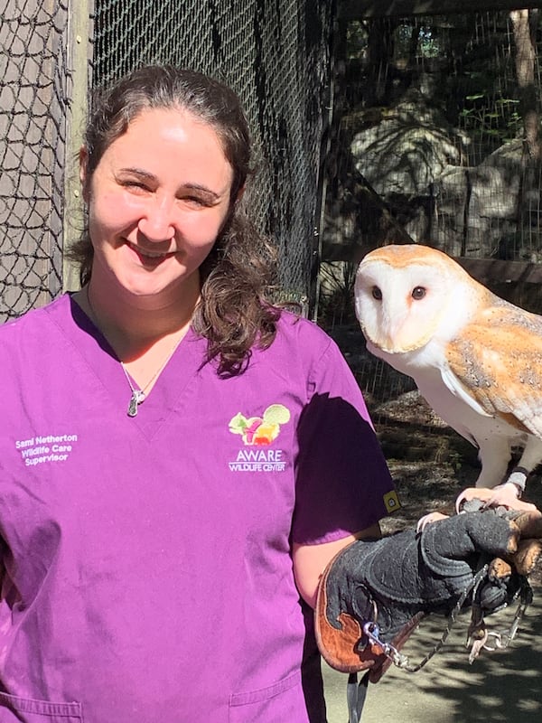 Sami Netherton, Wildlife Care Supervisor at AWARE Wildlife Center, is shown with Boogie, a barn owl that was hit by a car and is now one of two dozen resident "ambassadors" at the center. Boogie is unable to return to nature because of a wing injury that healed improperly.
Photo credit: Howard Pousner for The Atlanta Journal-Constitution