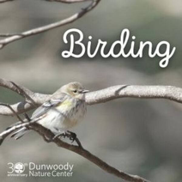 Hike through Dunwoody Nature Center trails this Saturday to learn about winter birds.