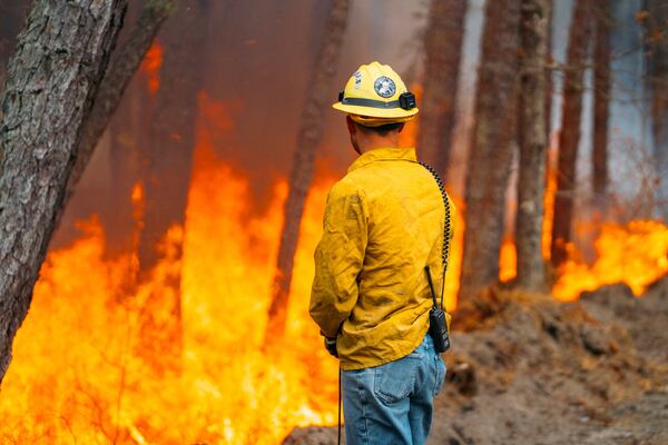 A firefighter looks on as the California Branch wildfire burns Saturday, March 22, 2025 in New Jersey's Wharton State Forest. (New Jersey Department of Environmental Protection via AP)