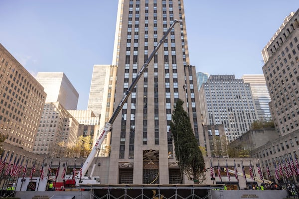 Rockefeller Center Christmas tree is being lifted by a crane into place at Rockefeller Plaza, Saturday, Nov. 9, 2024, in New York. (AP Photo/Yuki Iwamura)