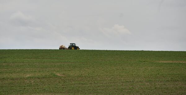 Around $2 billion of Georgia crops could feel the effect of retalitory Chinese and European tariffs. BRANT SANDERLIN/BSANDERLIN@AJC.COM