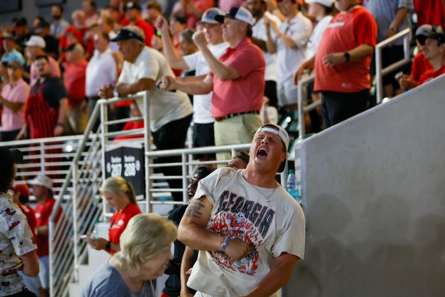 Georgia Tech vs UGA Bulldogs