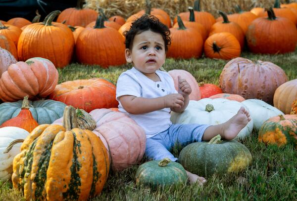 Benjamin Rosenzweig sits among the pumpkins at the Tradition Pumpkin Patch area during the Festival on Ponce Saturday, Oct 12, 2019.