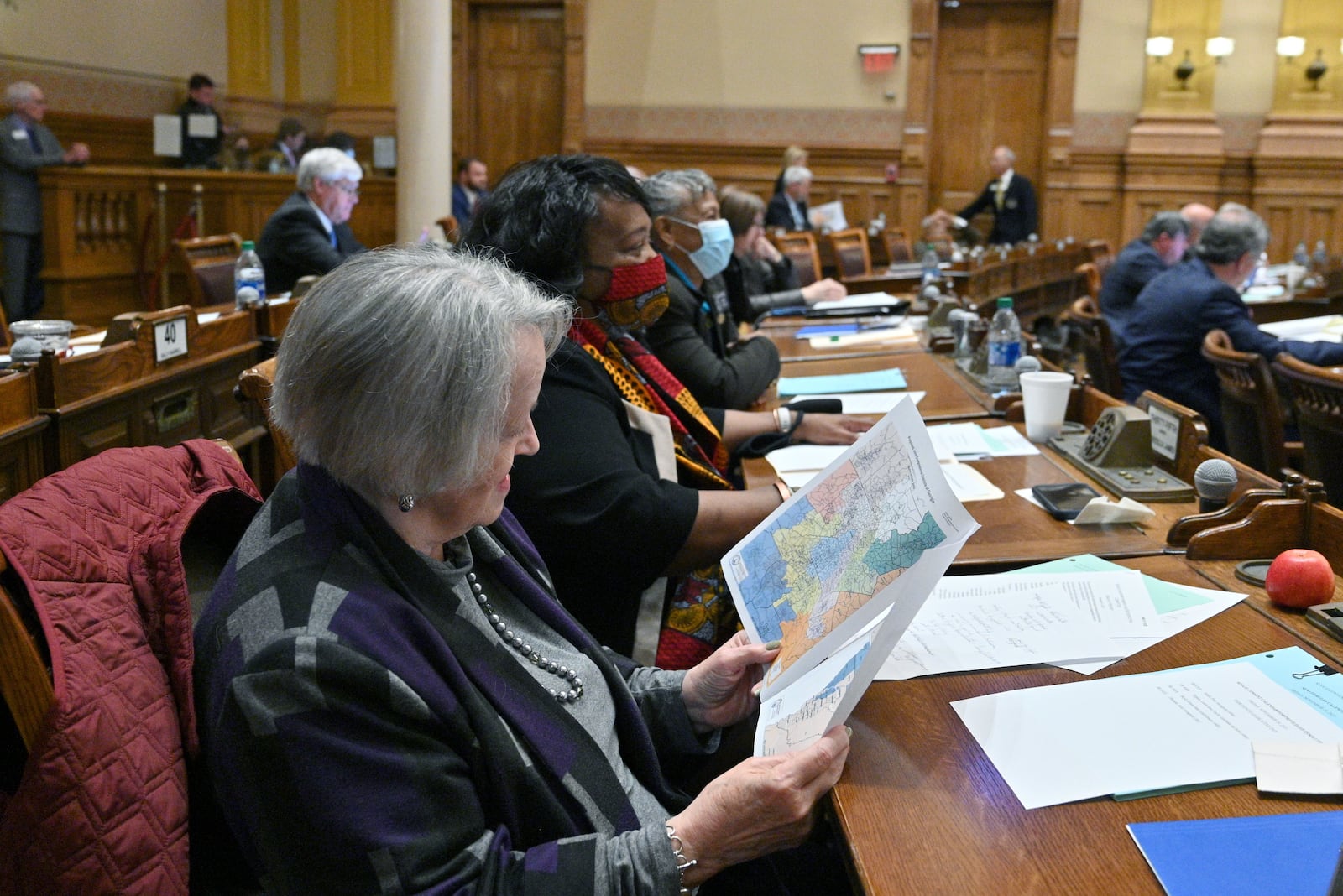 Democratic state Sen. Nan Orrock of Atlanta, among the most reliable liberal votes in the state Senate, has drawn two opponents in the May 24 primary. That includes a challenger from the left, environmental consultant Chase Stell. (Hyosub Shin / Hyosub.Shin@ajc.com)