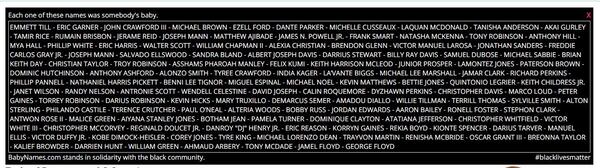 The full list of names shown on the site that pays tribute to those who died or were killed in controversial incidents.