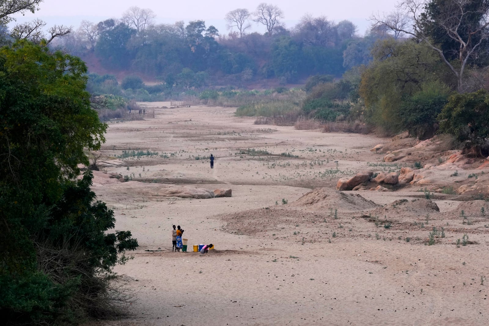 A women scoops water from a hole she has dug in a dried up riverbed in Lusitu, Zambia, Wednesday, Sept. 18, 2024. (AP Photo/Themba Hadebe)