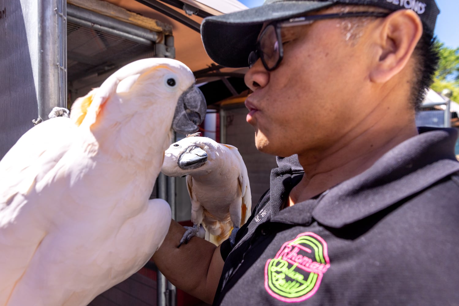 Exotic birds return to Buckhead restaurant