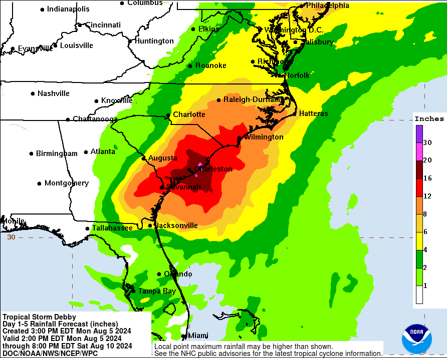 A map released at 2 p.m. on Monday, August 5, 2024 by the National Oceanic and Atmospheric Administrations shows forecast rainfall totals for Savannah and coastal Georgia.