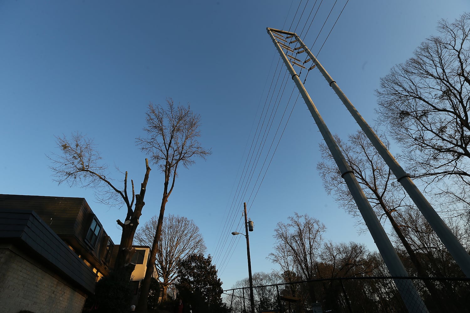 Woman climbs tree to stop Georgia Power