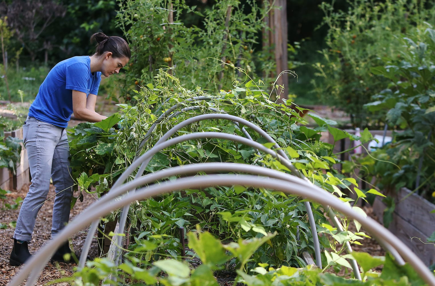 Photos: A look inside Georgia's first food forest